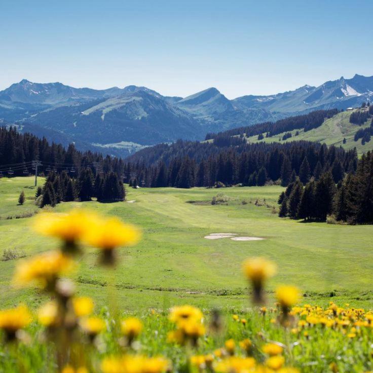 Chalet Genepi مورْيو المظهر الخارجي الصورة